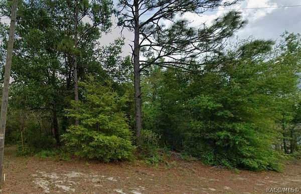 0.24 Acres of Land for Sale in Citrus Springs, Florida