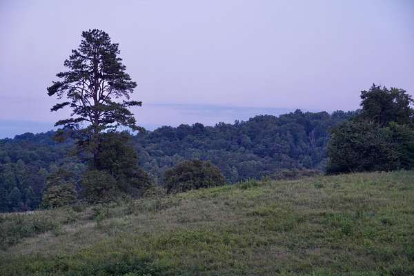 124 Acres of Land for Sale in Somerset, Kentucky