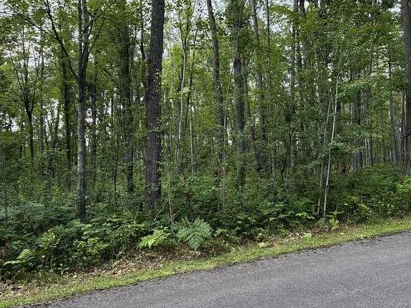 0.84 Acres of Residential Land for Sale in Lewiston, Michigan