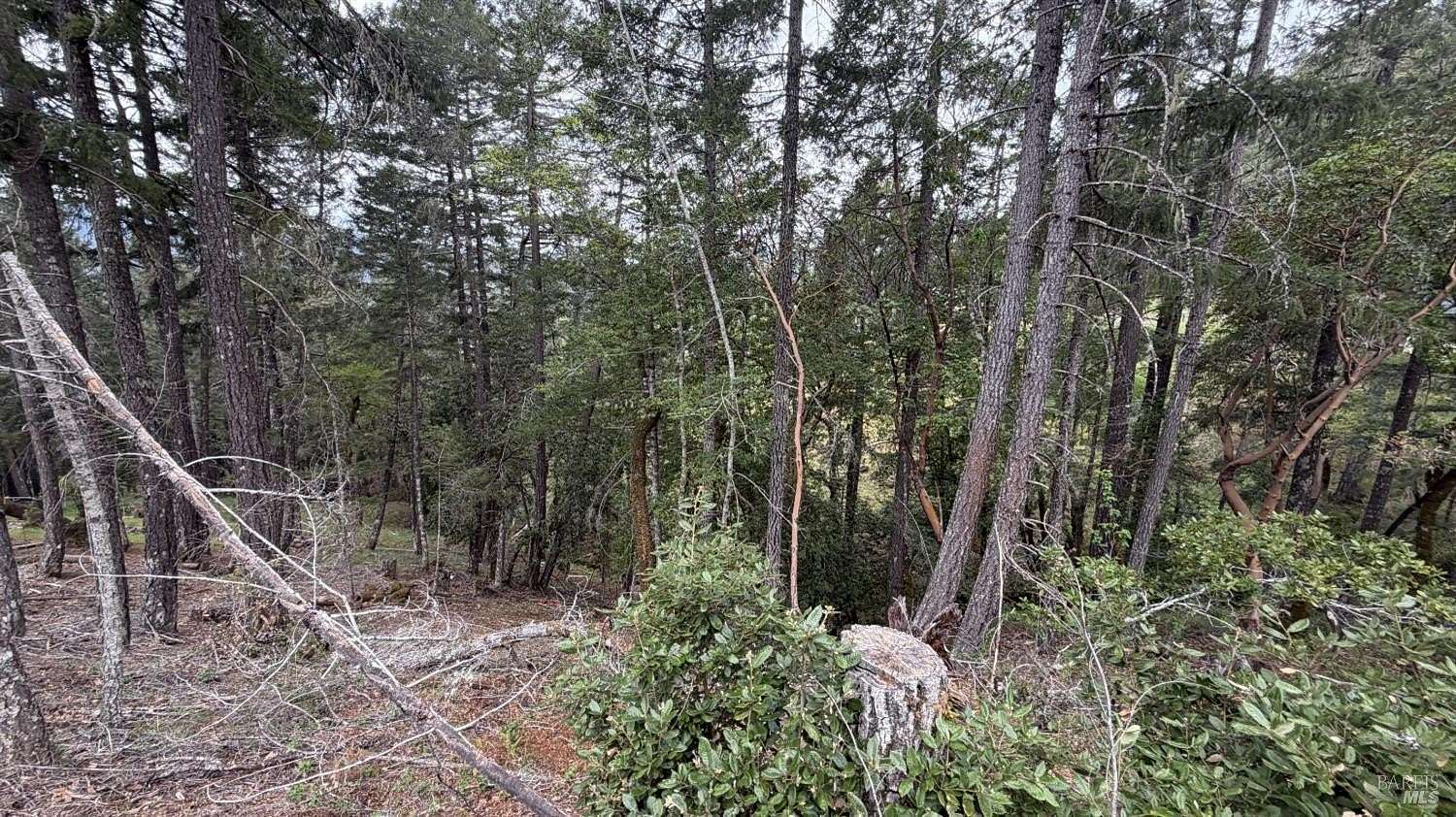 0.19 Acres of Residential Land for Sale in Willits, California