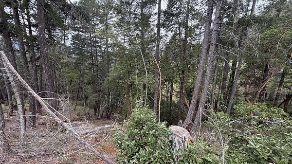 0.19 Acres of Residential Land for Sale in Willits, California