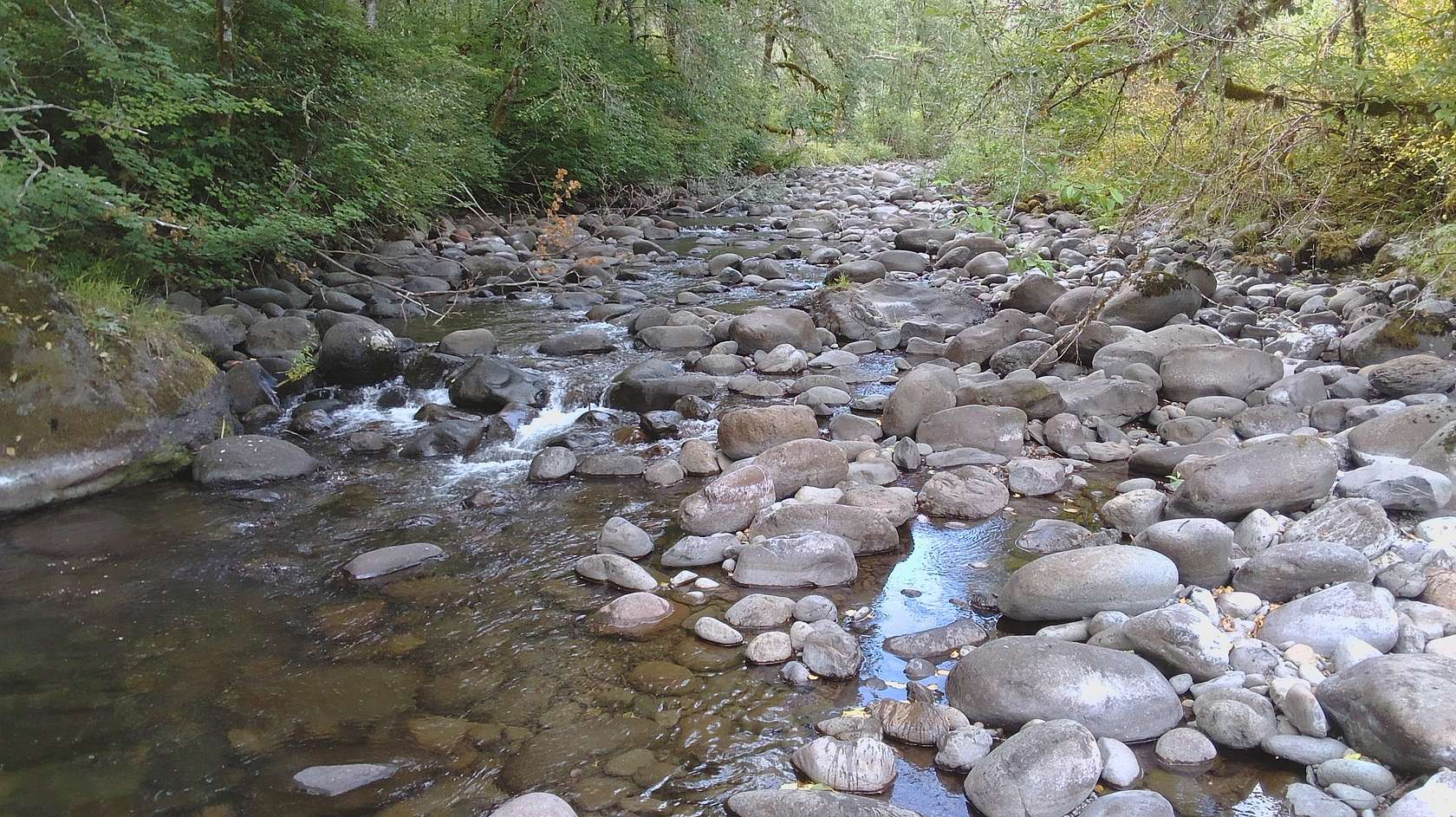 99 Acres of Recreational Land for Sale in Mill City, Oregon