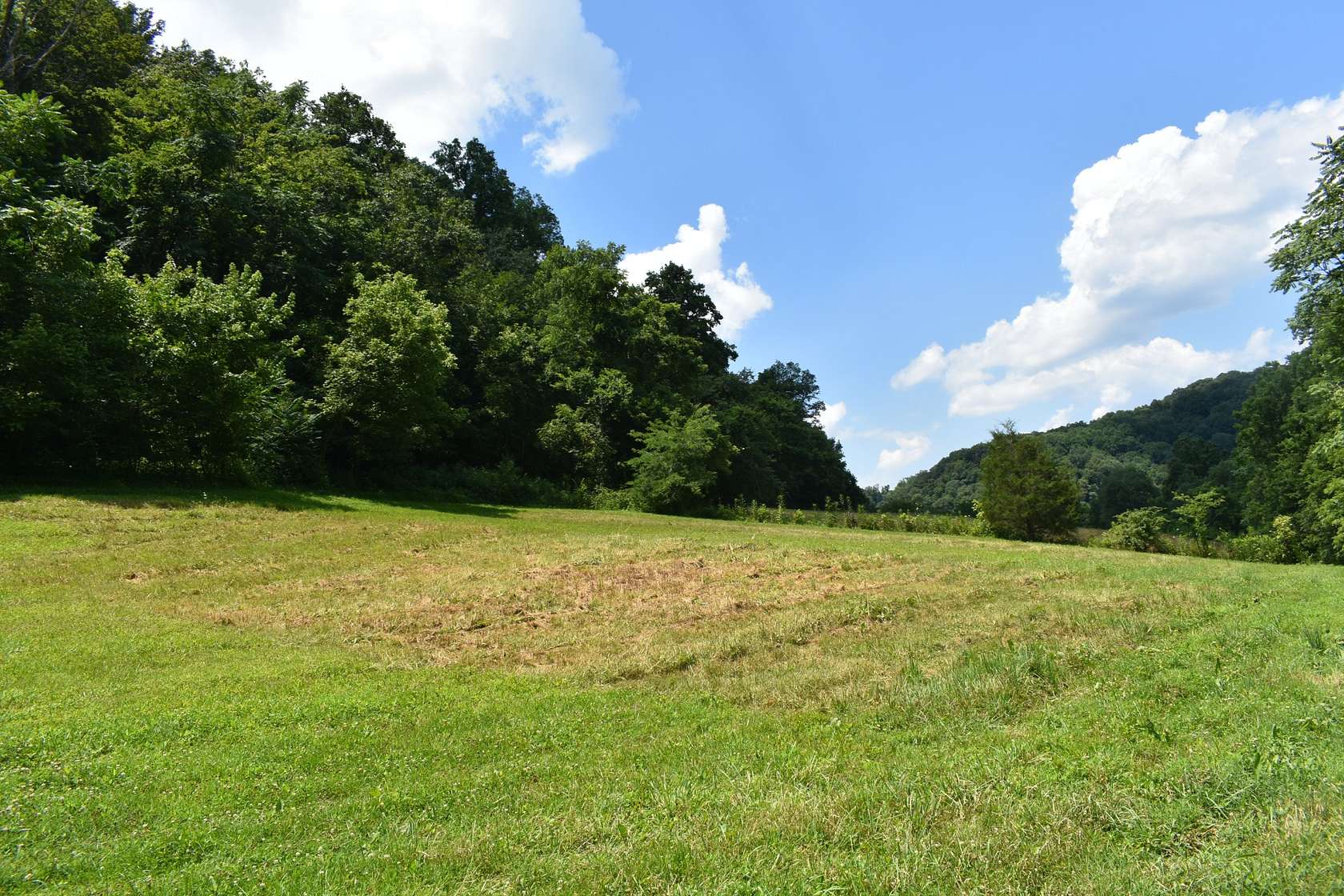 19.3 Acres of Land for Sale in Pleasant Shade, Tennessee