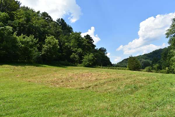 19.3 Acres of Land for Sale in Pleasant Shade, Tennessee