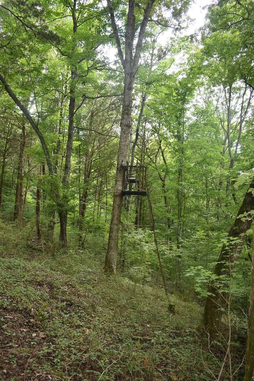 30.4 Acres of Land for Sale in Elmwood, Tennessee