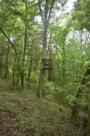 30.4 Acres of Land for Sale in Elmwood, Tennessee