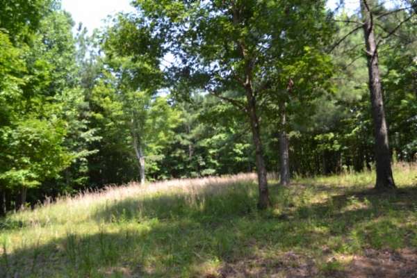 7.26 Acres of Residential Land for Sale in Spencer, Tennessee