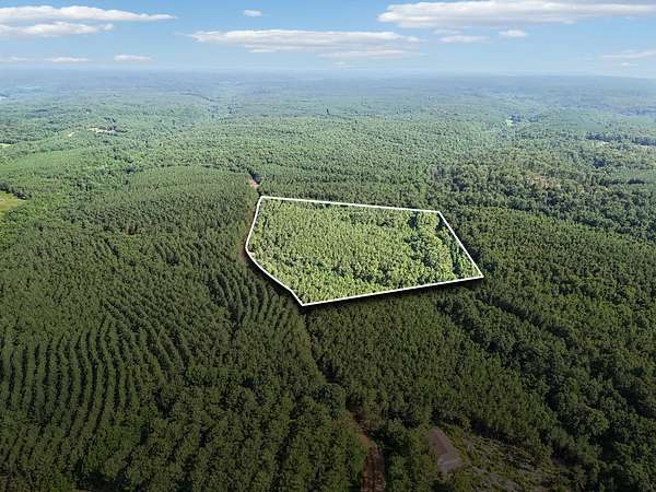 23.7 Acres of Land for Sale in Shady Grove, Tennessee