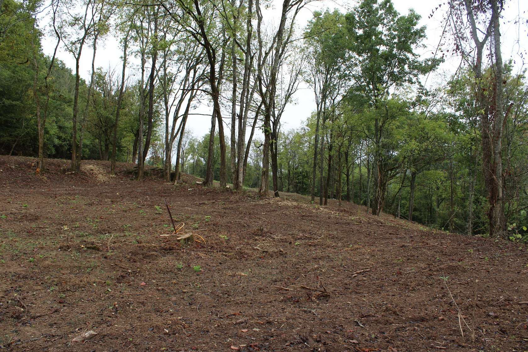 22.8 Acres of Recreational & Residential Land for Sale in Lewisburg, Tennessee