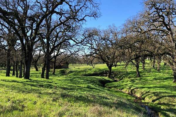 40 Acres of Agricultural Land with Home for Sale in Santa Rosa, California