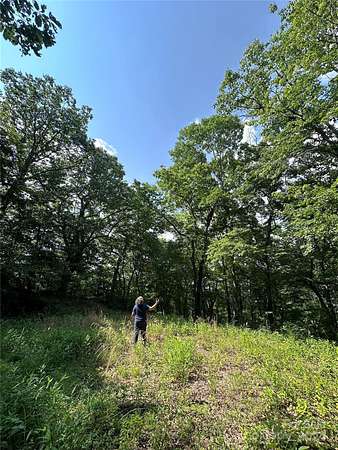 10 Acres of Residential Land for Sale in Leicester, North Carolina