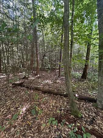 5 Acres of Residential Land for Sale in Eolia, Kentucky