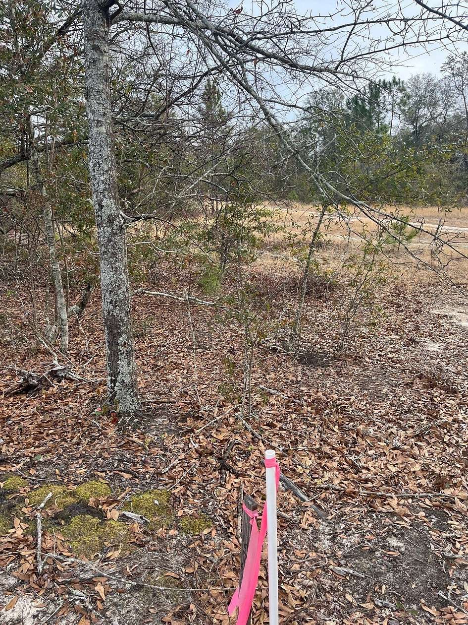 1.67 Acres of Residential Land for Sale in Salley, South Carolina