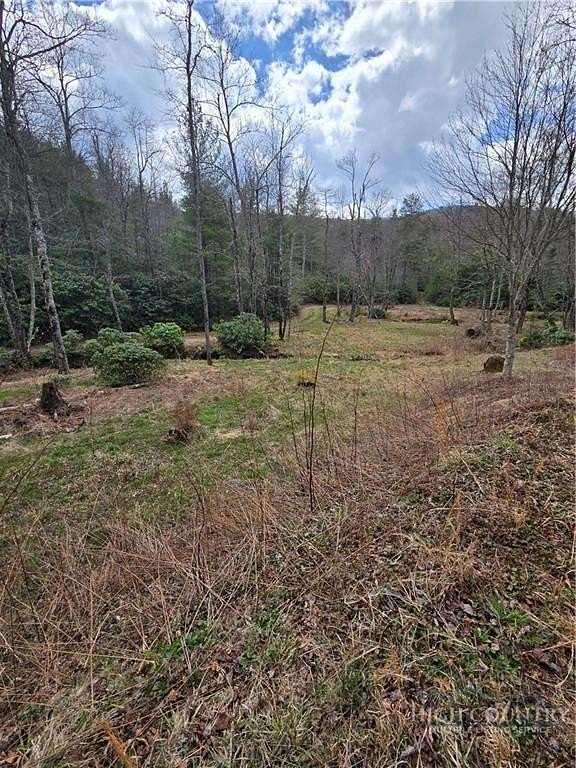 1 Acre of Residential Land for Sale in Newland, North Carolina
