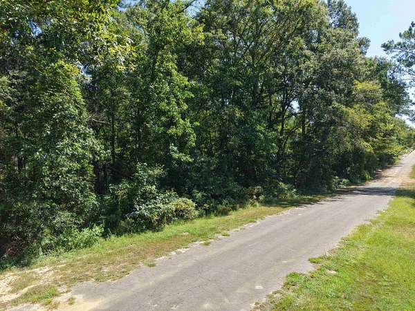 0.98 Acres of Land for Sale in Gilmer, Texas