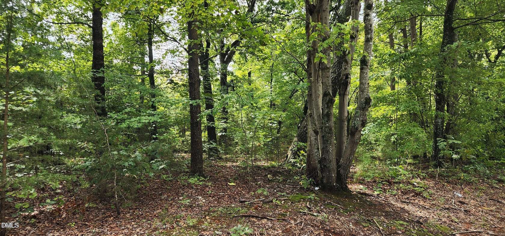 14.7 Acres of Land for Sale in Cedar Grove, North Carolina