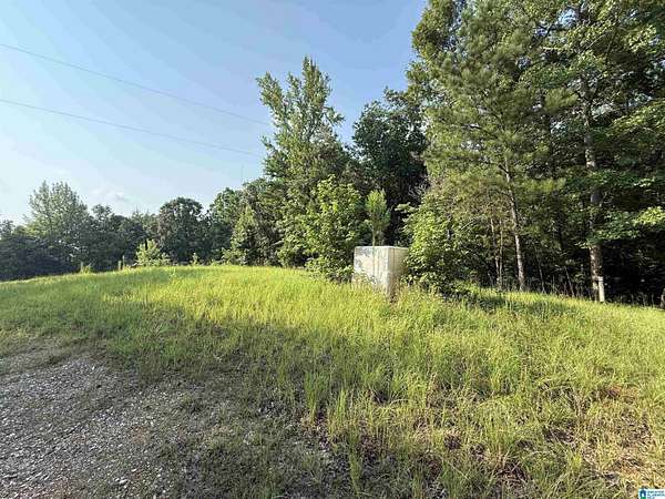 16.4 Acres of Recreational & Residential Land for Sale in Goodwater, Alabama