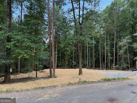 0.73 Acres of Residential Land for Sale in Ellijay, Georgia