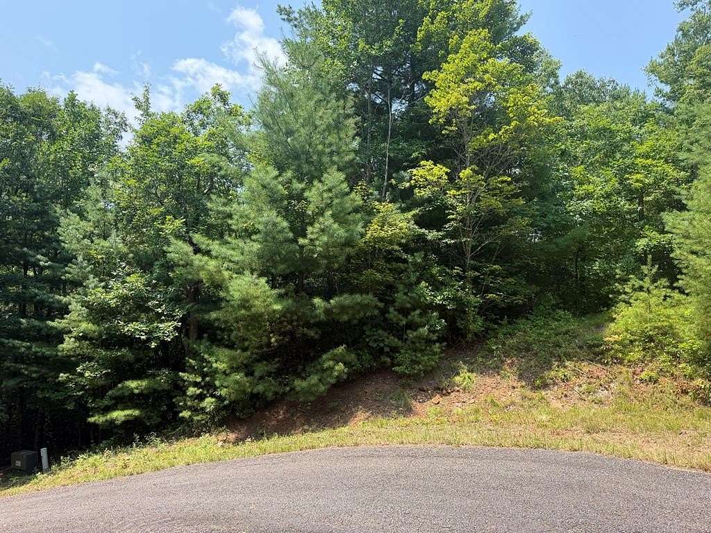 1.1 Acres of Residential Land for Sale in Hiawassee, Georgia