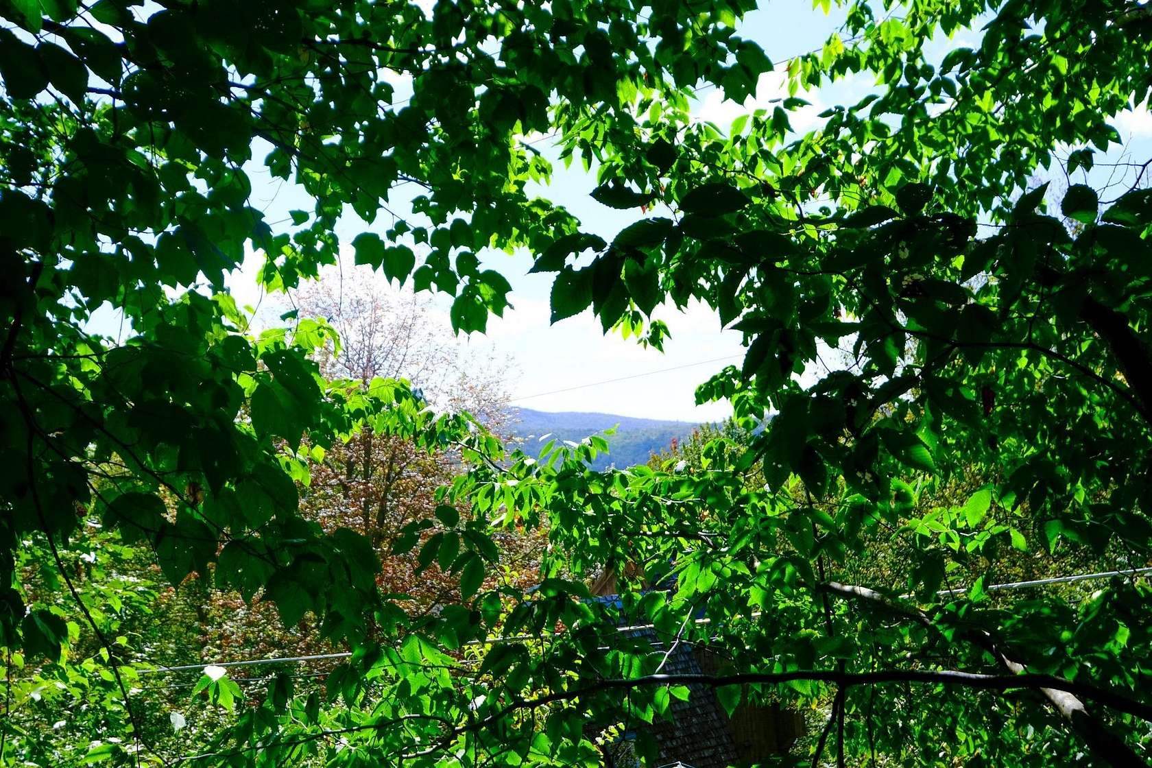 2.24 Acres of Residential Land for Sale in Plymouth, Vermont