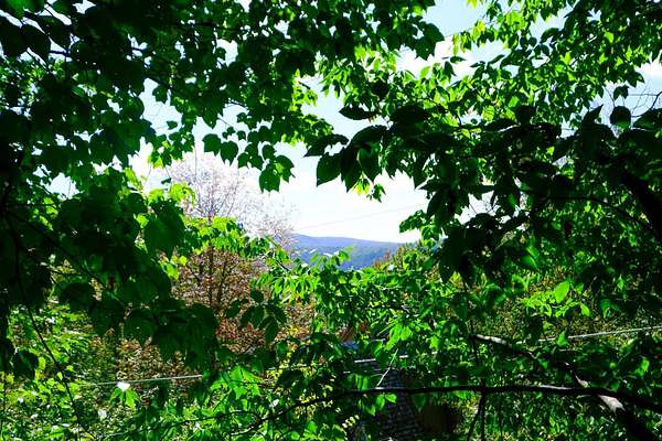 2.24 Acres of Residential Land for Sale in Plymouth, Vermont