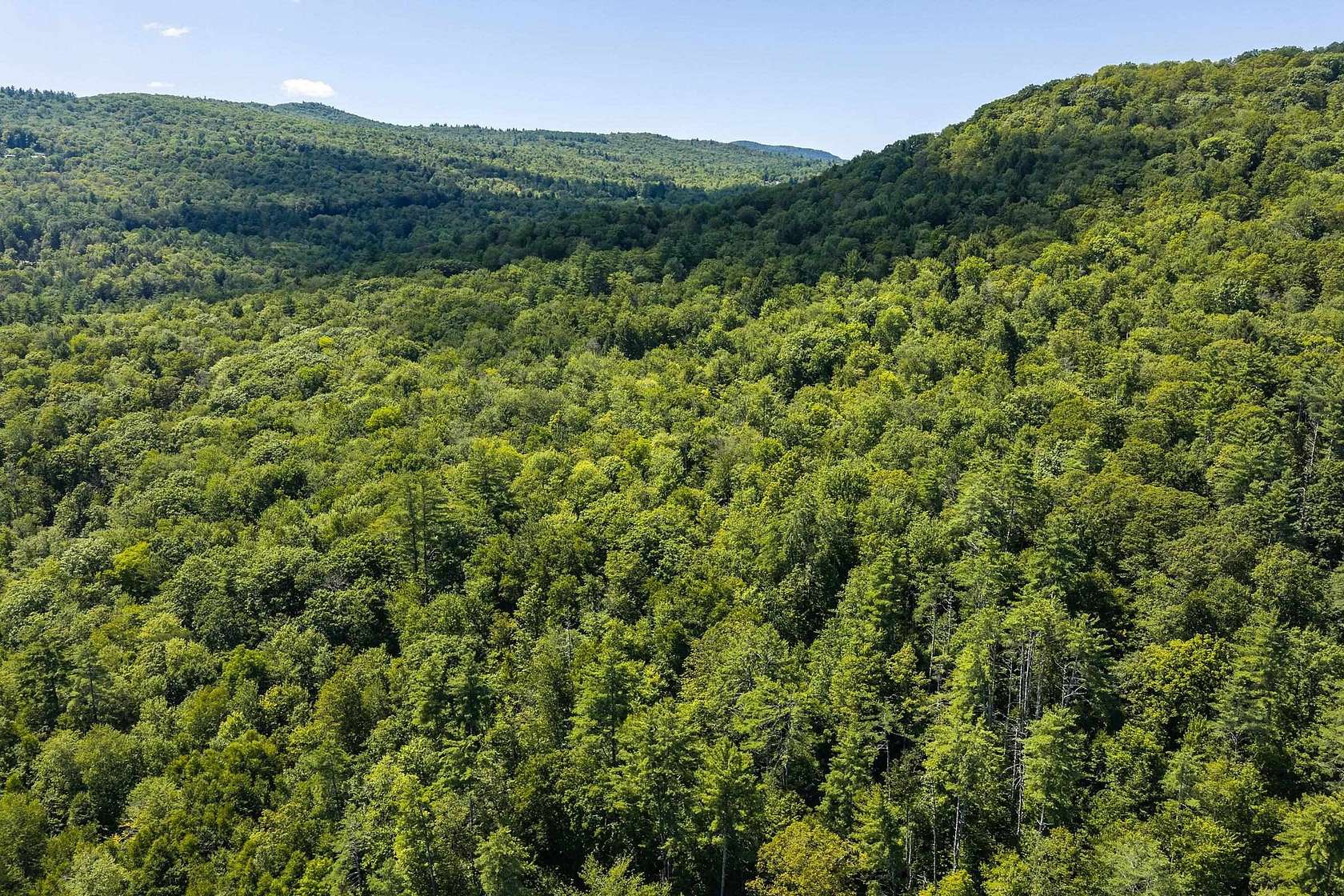 91.6 Acres of Recreational & Residential Land for Sale in Jamaica, Vermont