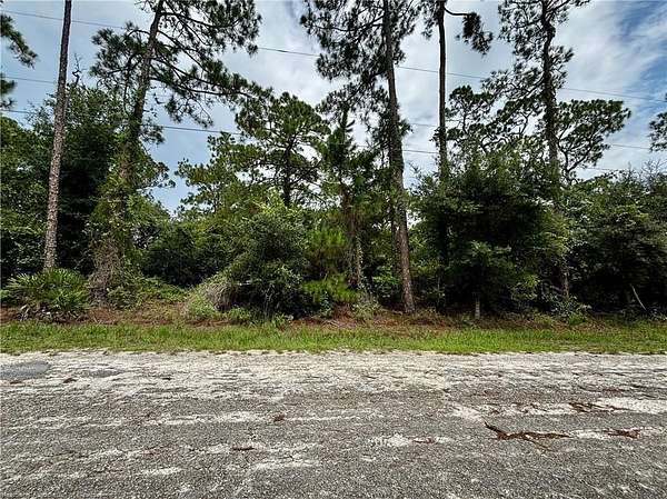 0.23 Acres of Residential Land for Sale in Lake Placid, Florida