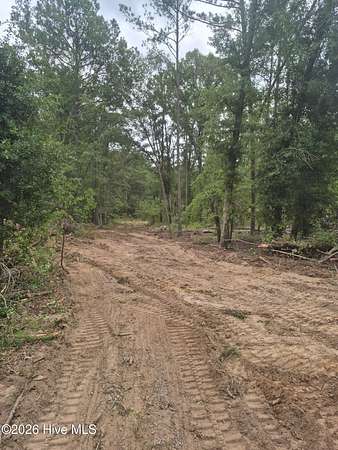 6.56 Acres of Residential Land for Sale in Harlem, Georgia