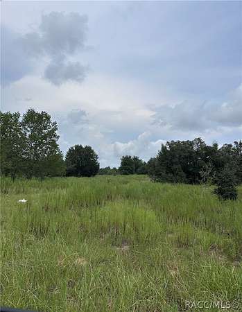 0.29 Acres of Residential Land for Sale in Inverness, Florida