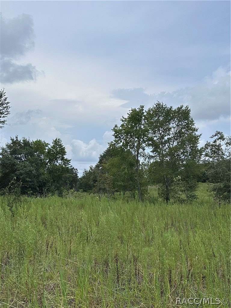 0.23 Acres of Residential Land for Sale in Inverness, Florida