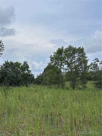 0.23 Acres of Residential Land for Sale in Inverness, Florida