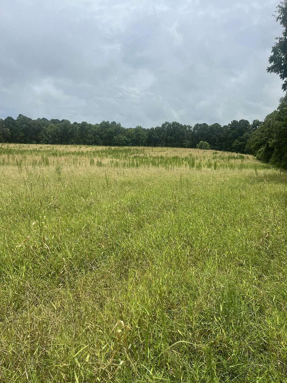 25.9 Acres of Land for Sale in Taylorsville, Mississippi