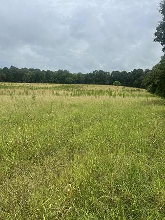 25.9 Acres of Land for Sale in Taylorsville, Mississippi