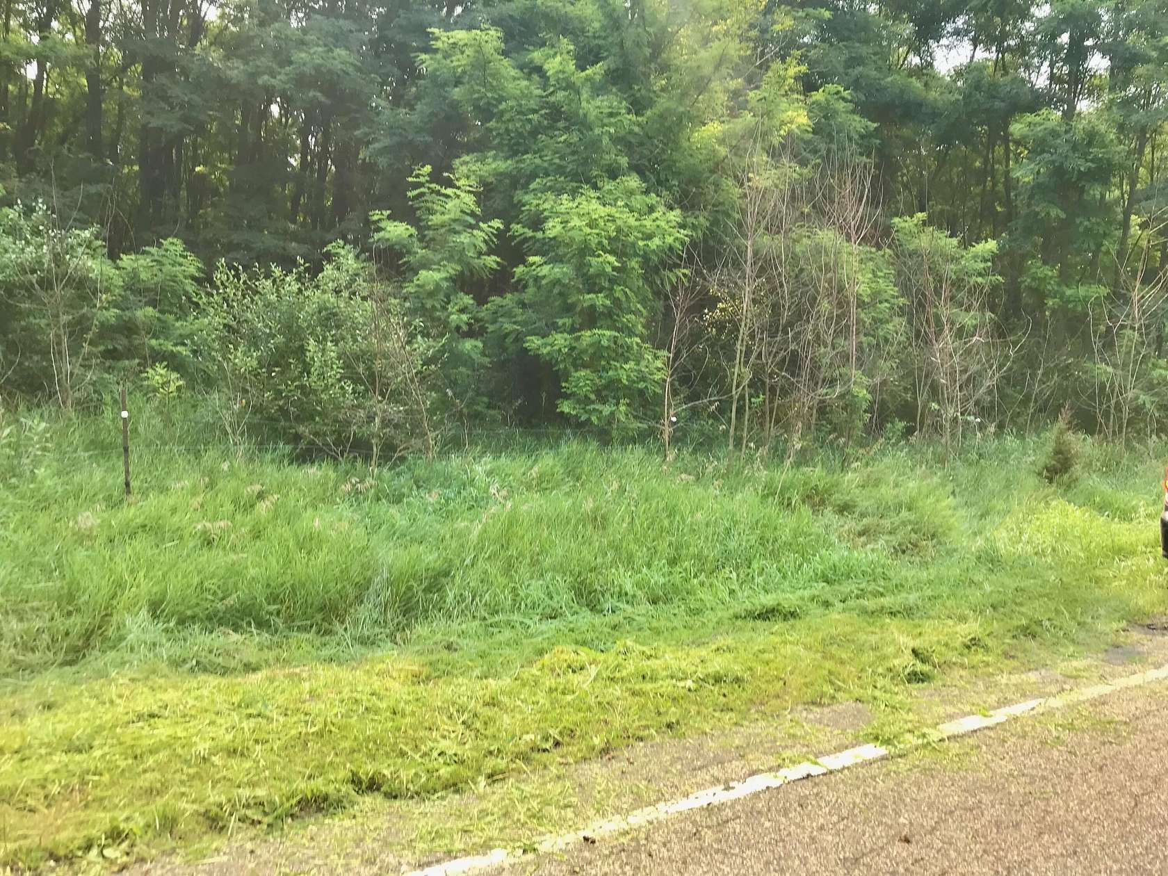 1 Acre of Residential Land for Sale in Three Rivers, Michigan