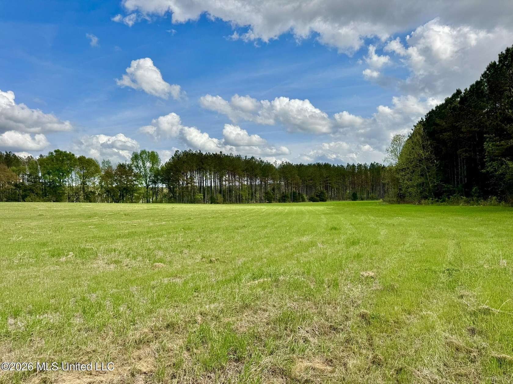 8.75 Acres of Residential Land for Sale in Canton, Mississippi