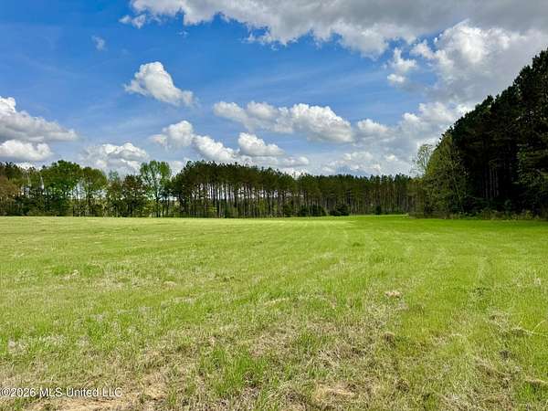 8.75 Acres of Residential Land for Sale in Canton, Mississippi