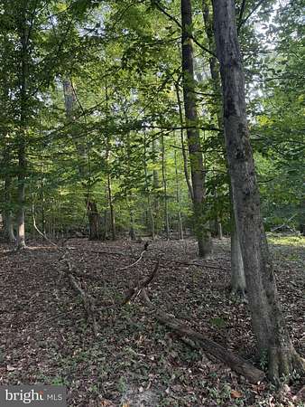 3.59 Acres of Residential Land for Sale in Clinton, Maryland