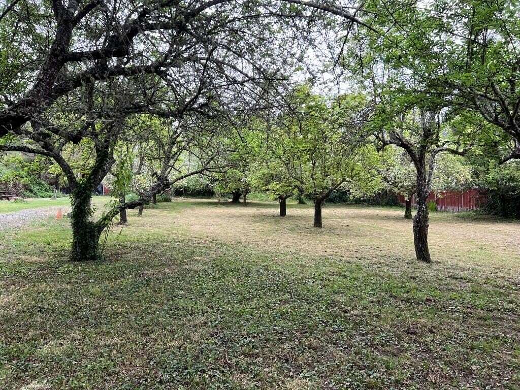 0.52 Acres of Residential Land for Sale in Myers Flat, California