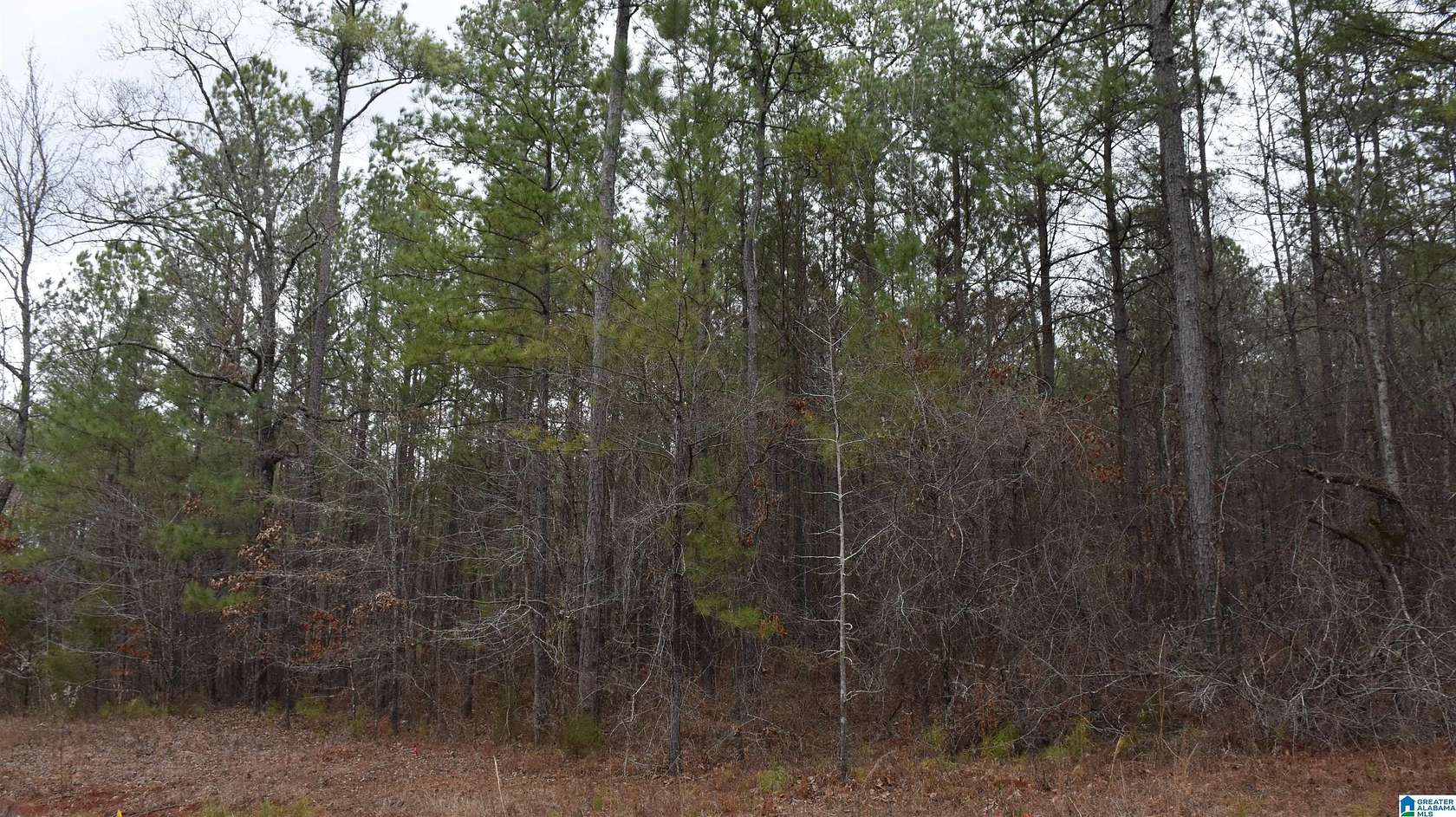 1.82 Acres of Residential Land for Sale in Sylacauga, Alabama