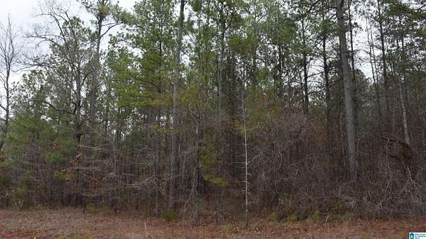 1.82 Acres of Residential Land for Sale in Sylacauga, Alabama