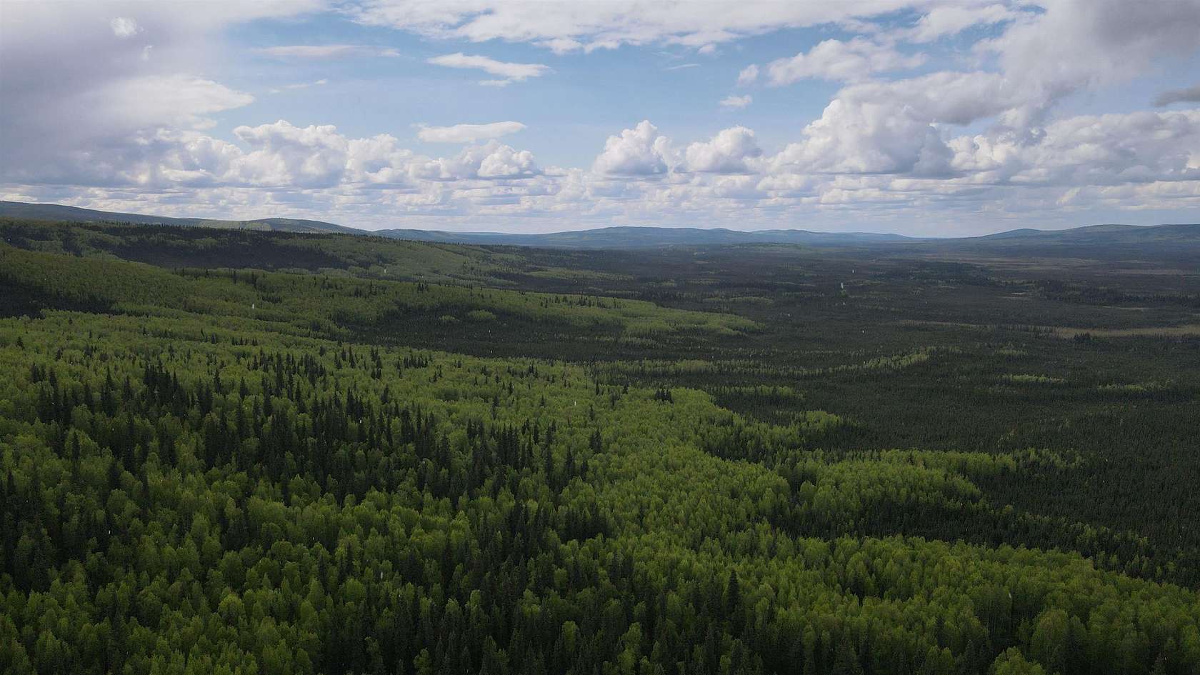 40 Acres of Recreational & Residential Land for Sale in Fairbanks, Alaska