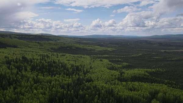 40 Acres of Recreational & Residential Land for Sale in Fairbanks, Alaska
