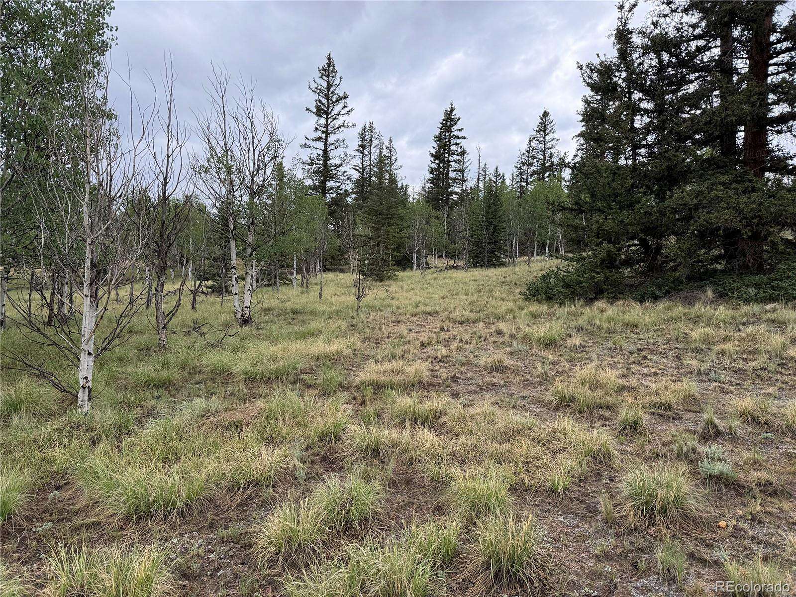 2 Acres of Residential Land for Sale in Como, Colorado