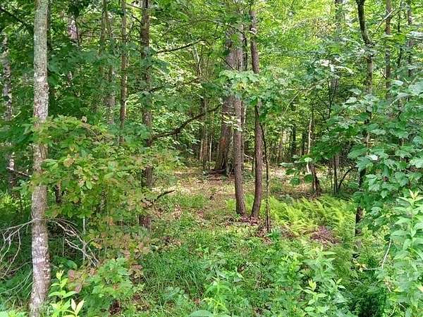 11.8 Acres of Land for Sale in Pikeville, Tennessee