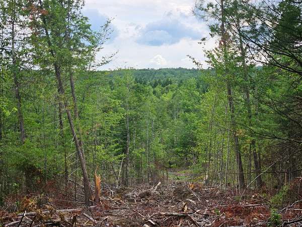 157 Acres of Land for Sale in Solon, Maine