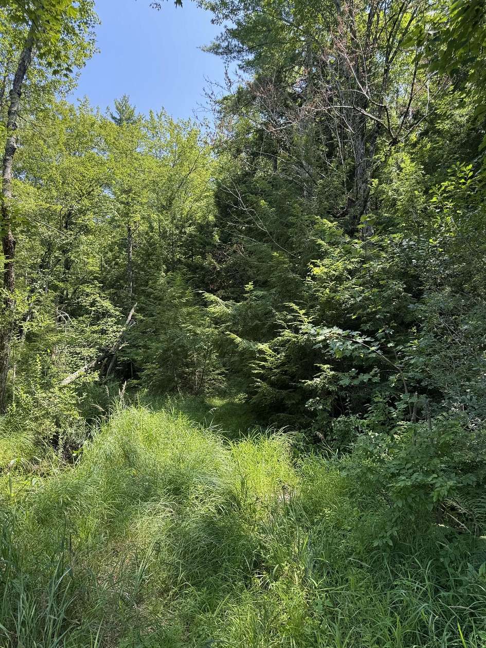 25 Acres of Recreational Land for Sale in Sanford, Maine