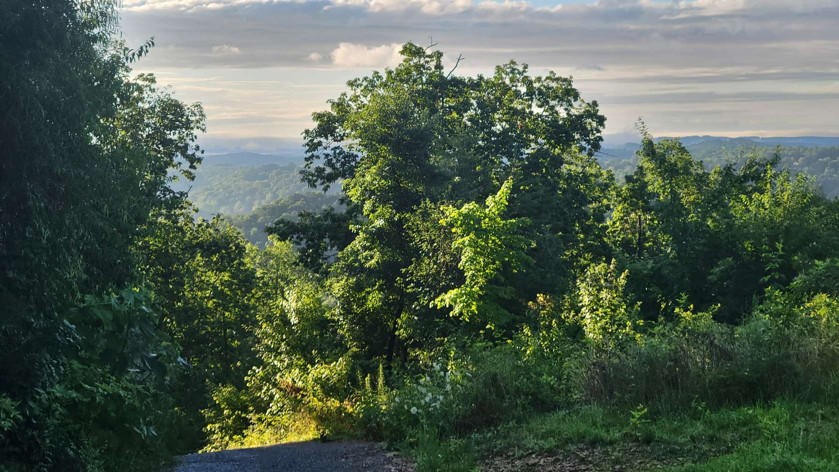 40 Acres of Agricultural Land with Home for Sale in Dayton, Tennessee