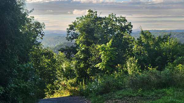 40 Acres of Agricultural Land with Home for Sale in Dayton, Tennessee