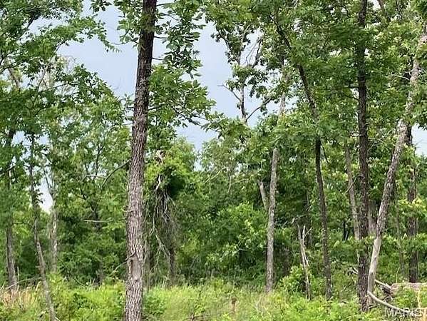 18.8 Acres of Land for Sale in Fredericktown, Missouri