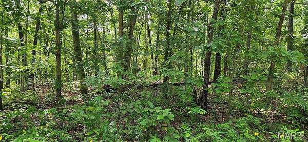 1.5 Acres of Residential Land for Sale in Salem, Missouri
